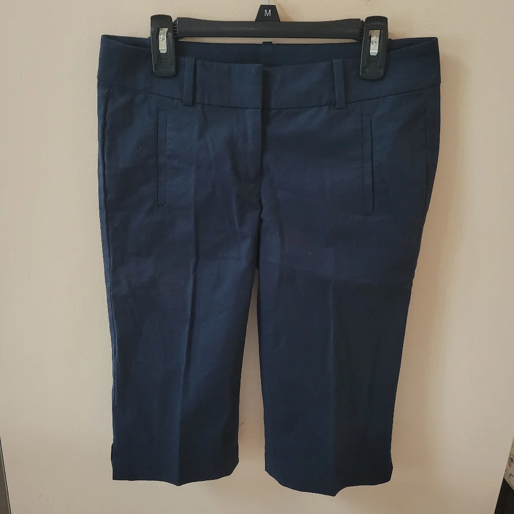 Ann Taylor Navy Blue Bermuda Shorts
